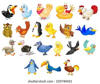 Collection of mixed cartoon birds on white