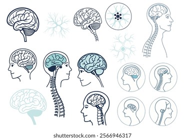 Collection of modern and flat design icons nervous system, featuring a human brain, minimal style 