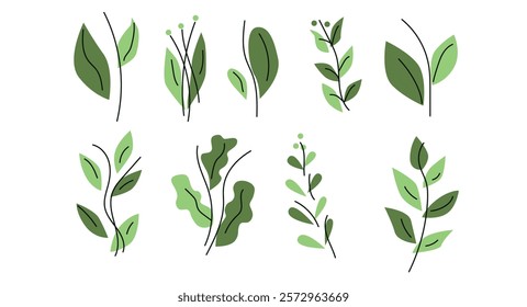 A collection of modern green plant illustrations with a minimalist and clean design. Includes leaves, stems, and natural shapes