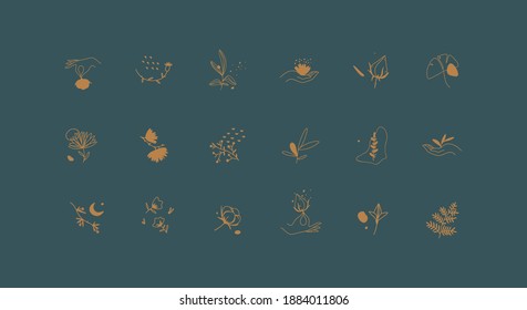 Collection of modern luxury line logo illustration. For beauty, jewelry, spa, floristic, wedding decoration business. Flower, herb, leaf, hand, moon icon.