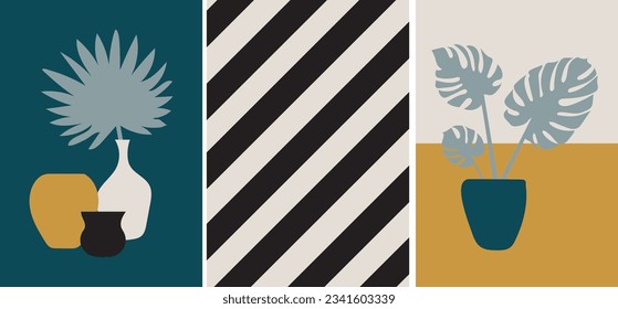 collection of modern simple abstract posters in boho style: monstera and palm tree in pots and vases with lines on a colored background