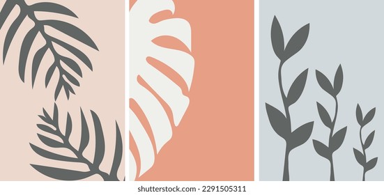collection of modern simple minimalist abstract posters: silhouettes of palm leaves and monstera on colored backgrounds