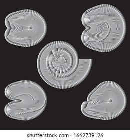 Collection of mollusk fossils. Abstract vector illustration