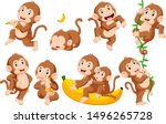 Collection of monkey in different poses	