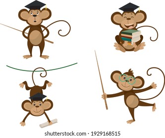 Colección de monos en diferentes poses con gorra de soltero, libros y gafas