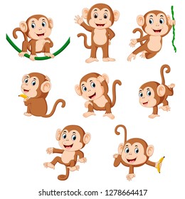 the collection of the monkey playing on the green rope with the different posing