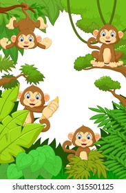 Collection monkey silly face in the forest 