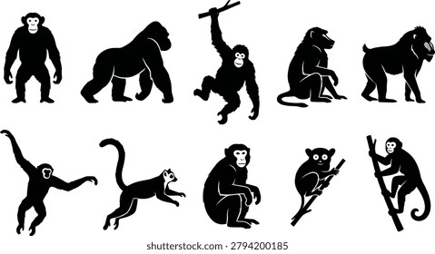 Collection of monkeys and apes in various poses and actions
