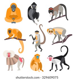 Collection of monkeys in flat style, vector illustration