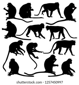 Collection of monkeys silhouettes isolated on a white background in different poses.