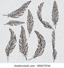 Collection of the monochrome feathers .Handmade work.Vector illustration