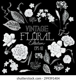 Collection of monochrome floral design elements on black background. Vector leaves and flowers in boho style.