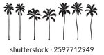 Collection of monochrome graphic silhouettes. Tropical palm tree set. Abstract botanical elements isolated on a white background. 