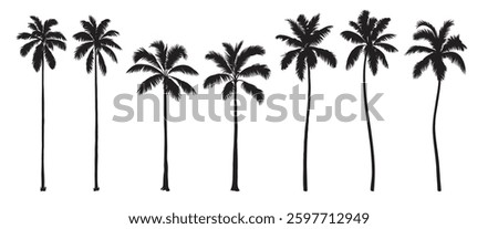Collection of monochrome graphic silhouettes. Tropical palm tree set. Abstract botanical elements isolated on a white background. 
