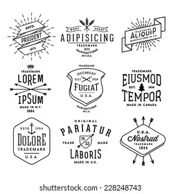 collection monochrome hipster vintage label, logo, badge for your business or t-shirt print with arrow, crown, sword, anchor, ribbon, fir tree