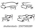 collection with monochrome illustration of pigs and piggy isolated on white background