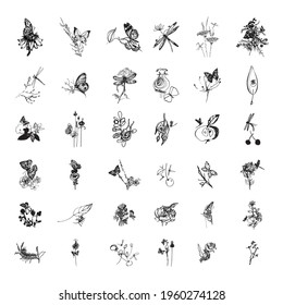 Collection of monochrome illustrations with flowers and insects in sketch style. Hand drawings in art ink style. Black and white graphics.