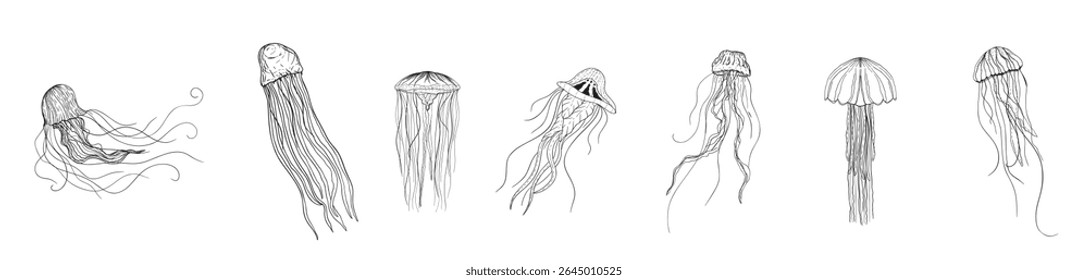 Collection of monochrome illustrations of jellyfishes in sketch style. Hand drawings in art ink style. Black and white graphics. vector