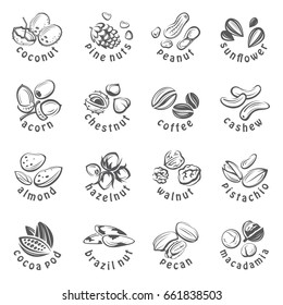 collection of monochrome nuts icons