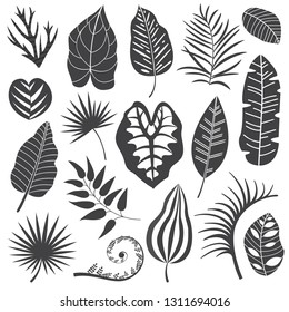 Collection of monochrome tropical leaves, palm tree branches, banana leaf and exotic rainforest leaves outline style. Botanical set with summer plant and jungle floral foliage silhouettes.