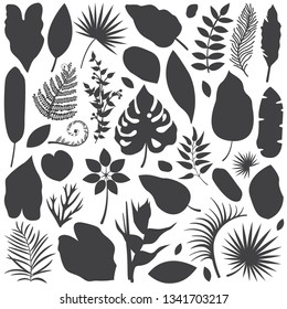 Collection of monochrome tropical leaves, palm tree branches, banana leaf and exotic rainforest leaves outline style. Botanical set with summer plant and jungle floral foliage silhouettes.