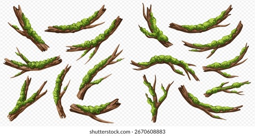 Coleção de ramos de musgo, várias formas e tamanhos, espalhados em um fundo transparente.