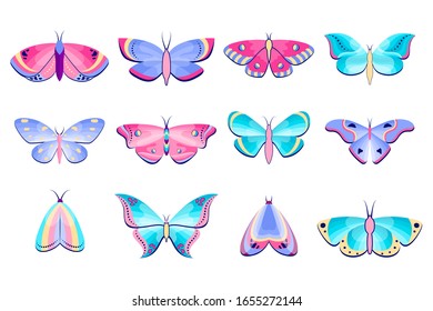 Collection of moths and butterflies on white background