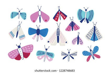 Collection of moths of different types and sizes isolated on white background. Set of nocturnal flying insects with beautiful wings. Bundle of pretty butterflies. Flat colorful vector illustration.