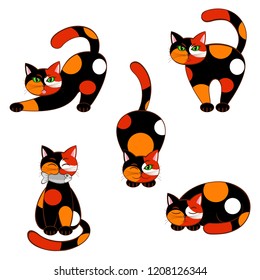 Collection of motley cats in various poses on a white background