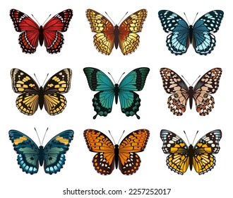 Colección de mariposas multicolores. Ilustración vectorial.