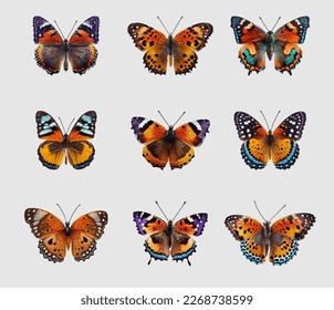 Collection of multicolored butterflies. Vector illustration. Tropical butterflies set isolated on a white background. Collection of realistic colorful butterflies for design.