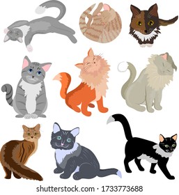 Collection of multi-colored cats.Set of colored cats on a white background.