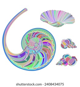 Collection multicolored marine life  seashells white background    vector illustration editable hand draw