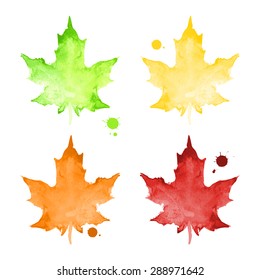 Collection of multicolored watercolor maple leaves on white background