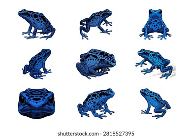 A collection of multiple views of the vibrant blue poison dart frog displayed on a clean white background. These exotic amphibians feature striking blue skin with intricate patterns. The high resolution images capture the unique texture and form of this species.