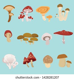 The Collection of mushroom pack set in flat vector style. Graphic resource about mushroom for graphic,content , banner, sticker.