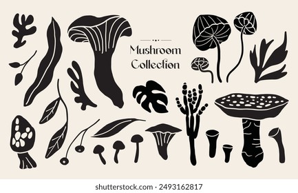 Collection of mushroom wild plants. Abstract vector drawing.