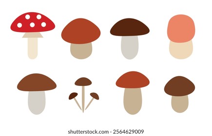 Collection of Mushrooms flat illustration. Boletus vector illustration Set of woodland mushrooms isolated on white background
