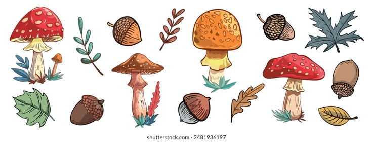 Collection of mushrooms, leaves and acorns. Autumn set of elements for various designs. Bright autumn concept.