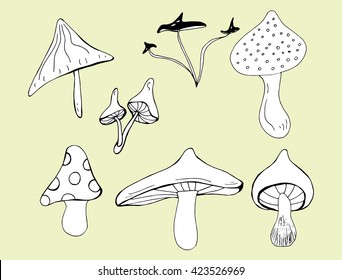 Collection of mushrooms. Plants. Line art. Black and white drawing by hand. Stylized mushrooms. Set.