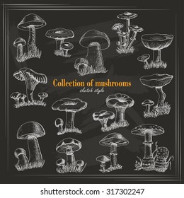 Collection of mushrooms in sketch style on a dark background. Vector illustration for your design