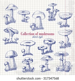 Collection of mushrooms in sketch style on paper. Vector illustration for your design