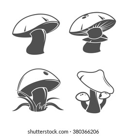 Collection of mushrooms. Vector illustration. Set.