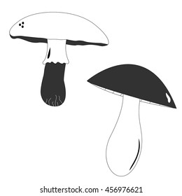 Collection of mushrooms. Vector illustration. Set