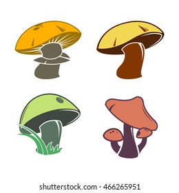 Collection of mushrooms. Vector illustration. Set.