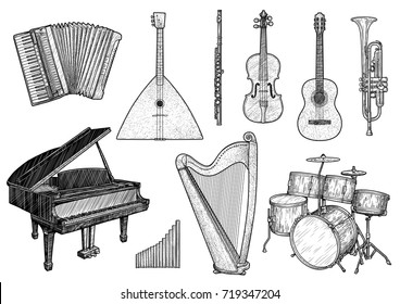 Collection of musical instrument illustration, drawing, engraving, ink, line art, vector