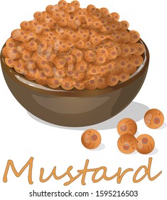 Collection of mustard vector illustrations: mustard seeds, flower, leaves and pod. Isolated on white background...