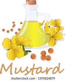 Collection of mustard vector illustrations: mustard seeds, flower, leaves and pod. Isolated on white background 