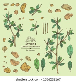 Collection of myrrh: plant and resin of myrrh. Commiphora myrrha. Perfumery, cosmetics and medical plant. Vector hand drawn illustration