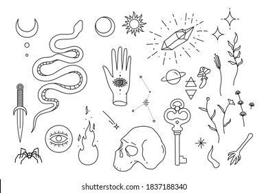 Collection of mystical symbols. Magical elements, astralogy. Plants for rituals. Snake, skull, hand with eye, moon sun. Vector illustration isolated on white background